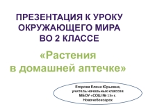 Урок по окружающему миру Растения в домашней аптечке