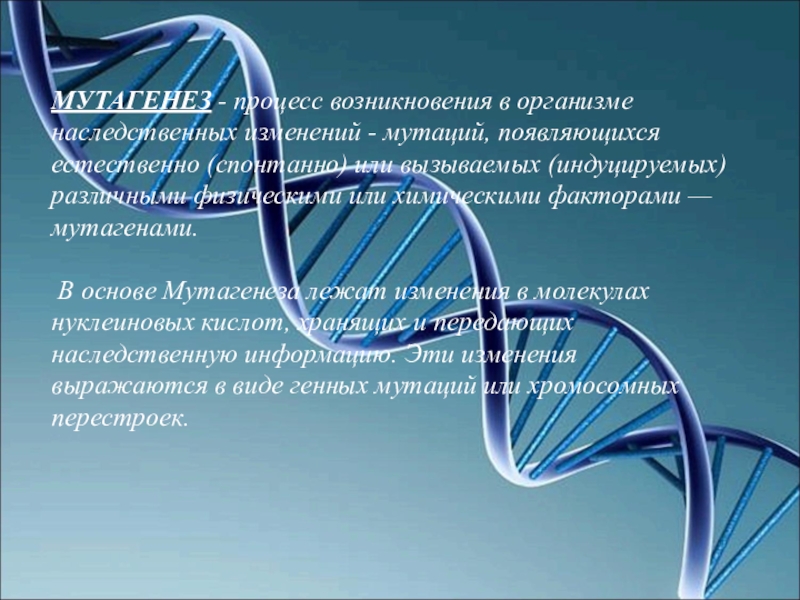 Генетика 10 класс биология презентация