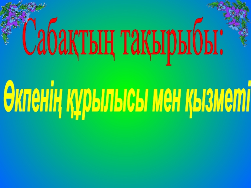 Презентация по биология на тему Өкпенің құрылысы мен қызметі (8 класс)