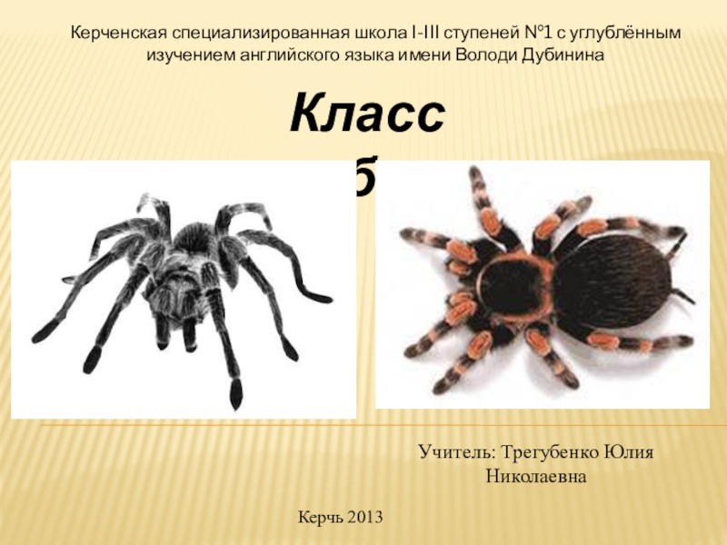 Тест пауки 7 класс с ответами. Биология паукообразные тест