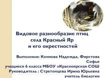 Презентация Видовое разнообразие птиц нашего села
