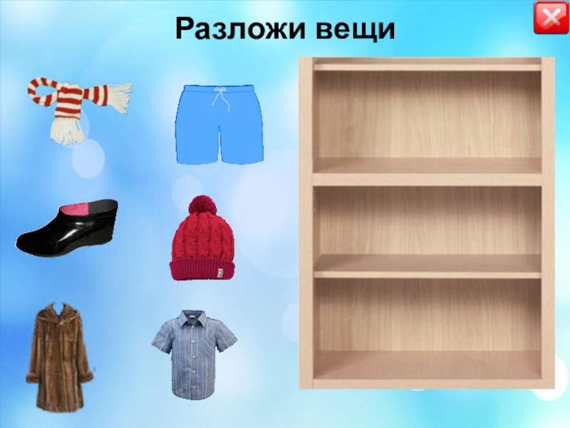 Игра разложи картинки