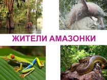 Дополнительный материал по окружаещему миру по теме  В мире интересного