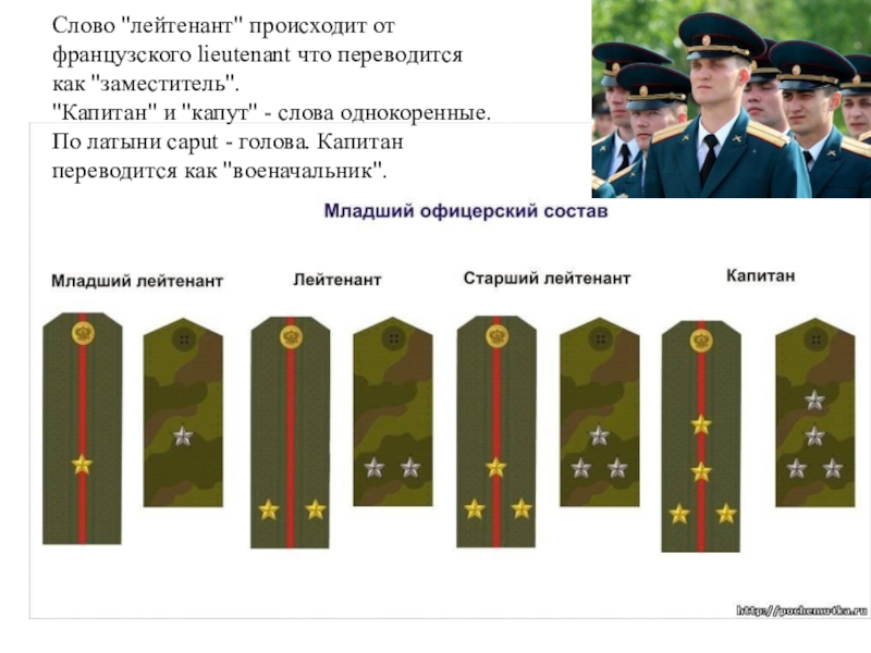 Младший состав. Лейтенант младший лейтенант. Младший лейтенант звание. Младший офицер или лейтенант. Лейтенант офицерское звание или нет.