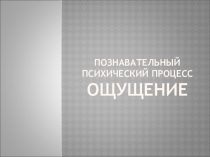 Презентация Познавательный психический процесс - ощущение