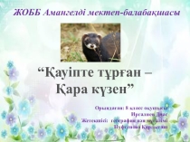 Презентация по биологическому краеведению в школе