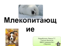 Презентация по биологии на тему Класс Млекопитающие (7-8)