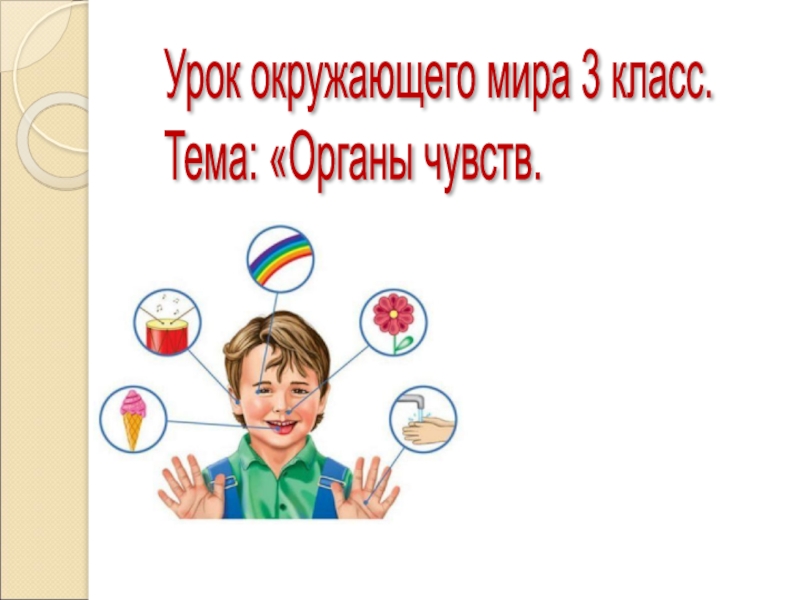 Презентация к уроку окружающего мира Органы чувств