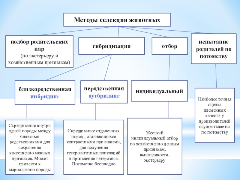 Какие вам известны основные методы селекции