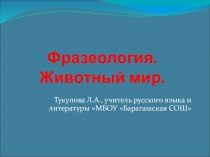 Презентация по русскому языку Фразеологизмы