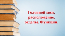 Презентация по дисциплине Анатомия и физиология человека на тему: Головной мозг, расположение, отделы. Функции.