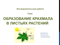 ПРЕЗЕНТАЦИЯ по биологии  Фотосинтез