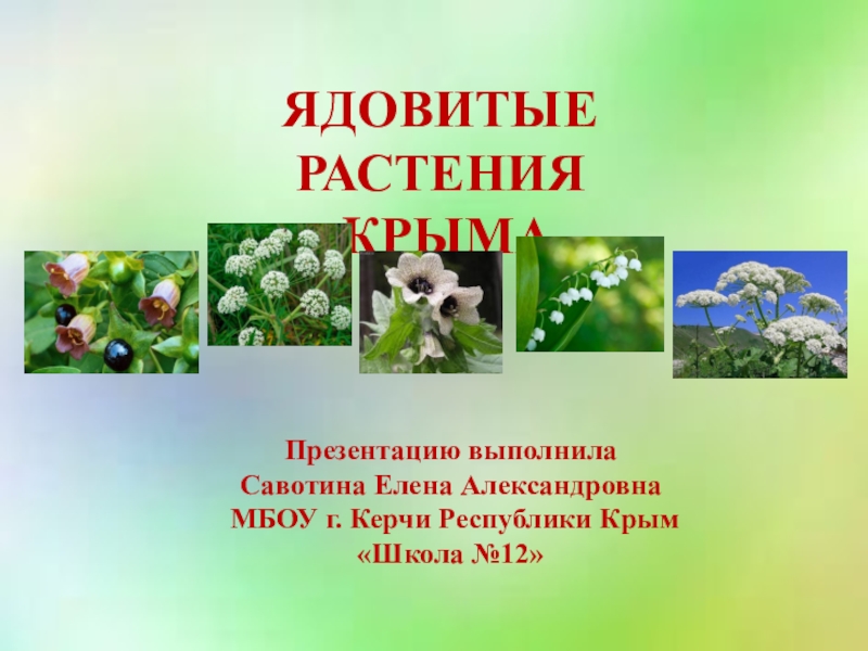 Презентация Презентация по окружающему миру Ядовитые растения Крыма