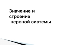 Значение и строение нервной системы