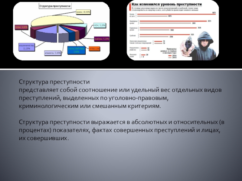 Реферат: Преступность и преступление, их взаимосвязь