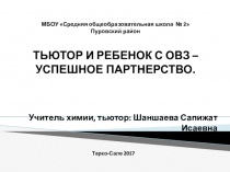 Презентация по теме Тьютор и ребенок с ОВЗ - успешное партнерство