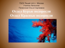 Урок презентация Бурые водоросли