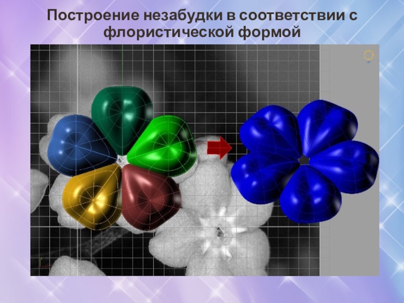 Презентация по 3D моделированию ювелирных изделий Построение незабудки в соответствии с флористической формой Построение незабудки в соответствии с флористической формой