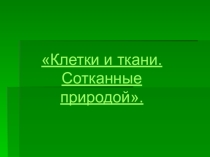 Эпителиальная ткань