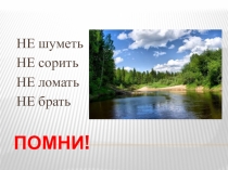 Презентация к уроку развития речи Насекомые. Кузнечик, муха, муравей, для обучающихся 8 вида