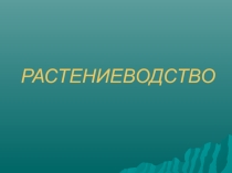 Презентация по окружающему миру на тему Растениеводство