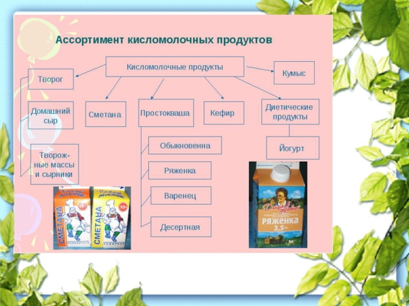 Технология производства кисломолочных продуктов и приготовления блюд из них 6 класс презентация