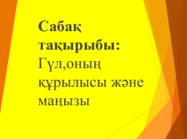 Биология пәнінен презентация Гүл,оның құрылысы