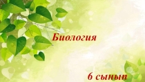 Слайд: Ашықтұқымды өсімдіктерге жалпы сипатттама