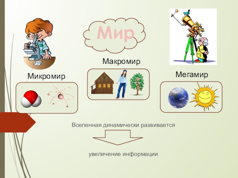 Презентация на тему микромир