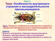 Презентация по биологии на тему Особенности внутреннего строения и жизнедеятельности пресмыкающихся.