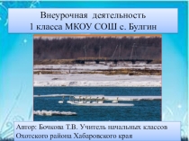 Презентация по внеурочной деятельности в 1 классе