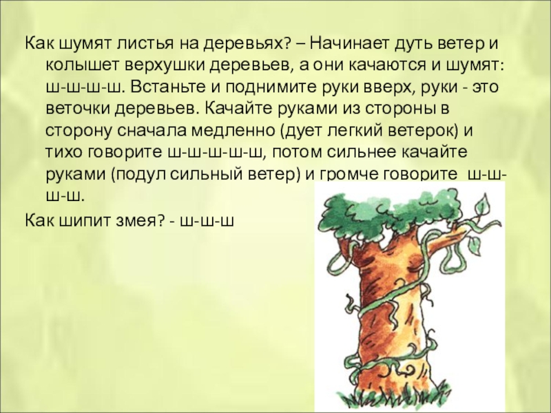 Подул ветер и. Как шумят листья на деревьях. Как шумят деревья. Набежал ветер и зашумел в верхушках деревьев. Как шуршат деревья.