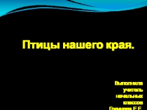 Птицы нашего края. Перелётные и зимующие.