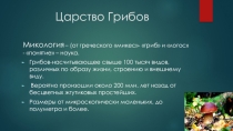 Презентация по биологии на тему Царство Грибов (7 класс)