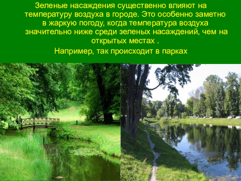 Роль зеленого. Роль зеленых насаждений в городе. Роль зеленых насаждений в природе. Зеленые насаждения. Влияние зелёных насаждений на экологию города.