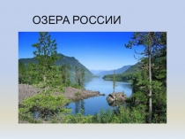 Презентация к уроку по окружающему миру на тему: Экосистема озера