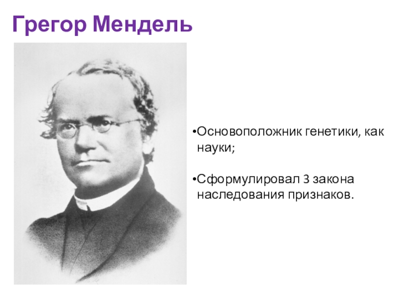 Мендель биология. Грегор Мендель основоположник генетики. Грегор Иоганн Мендель генетика. Менжельвклад в биологию. Мендель вклад в биологию.