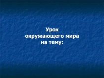 Презентация по окружающему миру на тему: Осанка и здоровье.