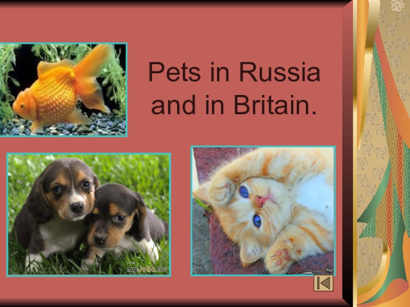 Pets in russia. Презентации на тему Pets. Презентация Pets and other animals. Pets in Russia 2 класс. Pets in Russia 3 класс.