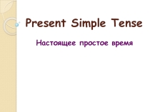 Презентация по английскому языку Present Simple Tense