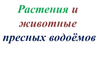 Презентация к уроку по теме: Растения и животные пресных водоёмов