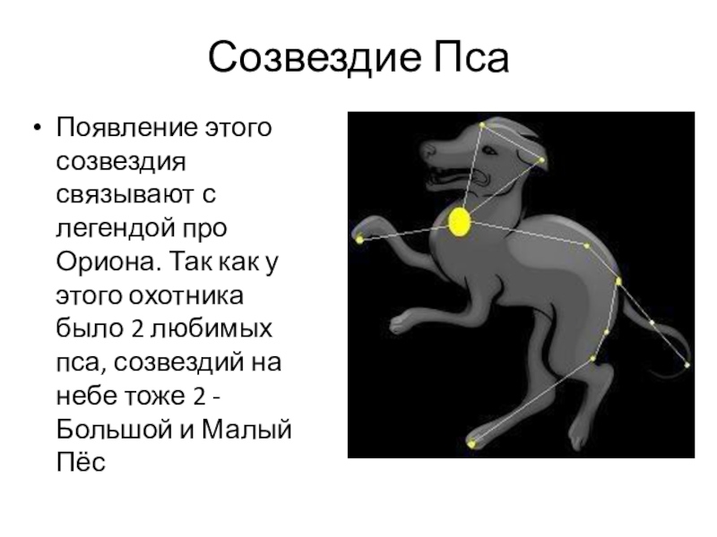 Большой пес созвездие презентация