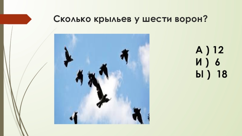 Количество крыльев. Сколько будет крыло.