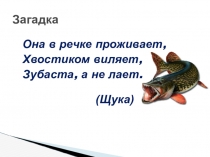 Презентация по русскому языку на тему Написание слов с непроверяемой буквой безударного гласного звука (1 класс)