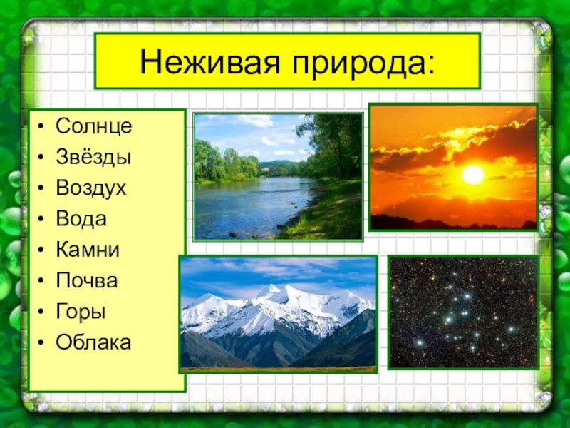 Картинки что относится к неживой природе