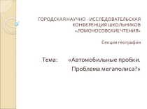 Исследовательская работа по географии Автомобильные пробки. Проблема мегаполиса?