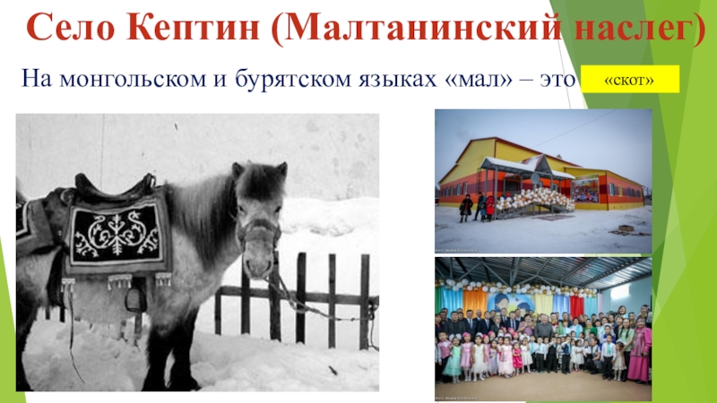 На монгольском и бурятском языках «мал» – это сундук.   «скот»Село Кептин (Малтанинский наслег)