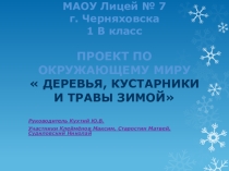 Проект по окружающему миру  Как зимой распознать деревья и кустарники ( 1 класс)