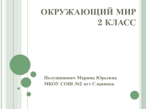 Презентация по окружающему миру, 2 класс Какие бывают животные