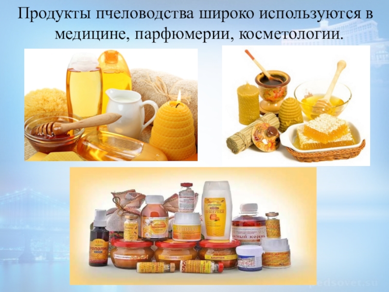 Схема продукты пчеловодства